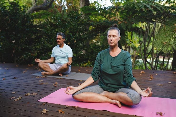Ayurvedic Wellness Program