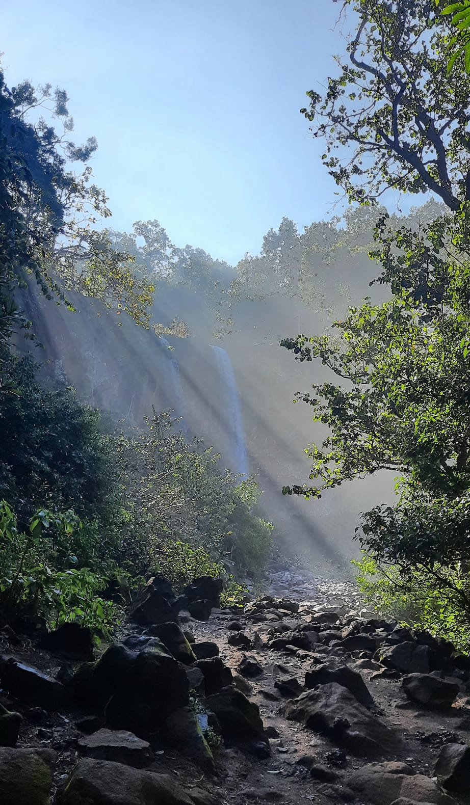 Nature Retreat
